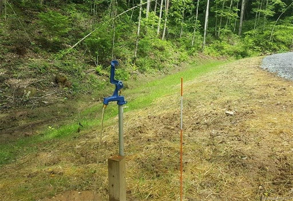 1338 Conley Springs Road Clyde, NC 28721 - Photo 13 of 16 a view of a pathway both side of yard
