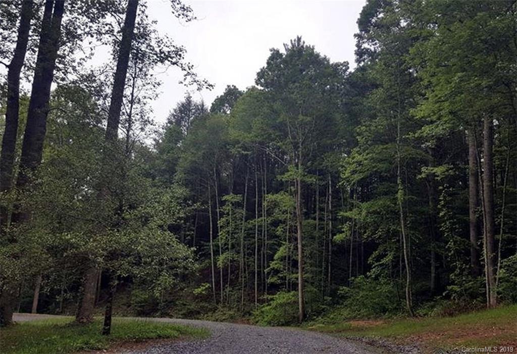 1338 Conley Springs Road Clyde, NC 28721 - Photo 8 of 16 a view of a city with lush green forest