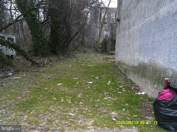 a view of a back yard