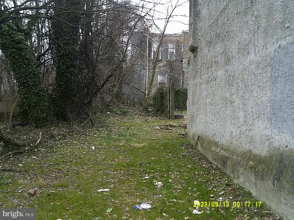 a view of a yard with large trees