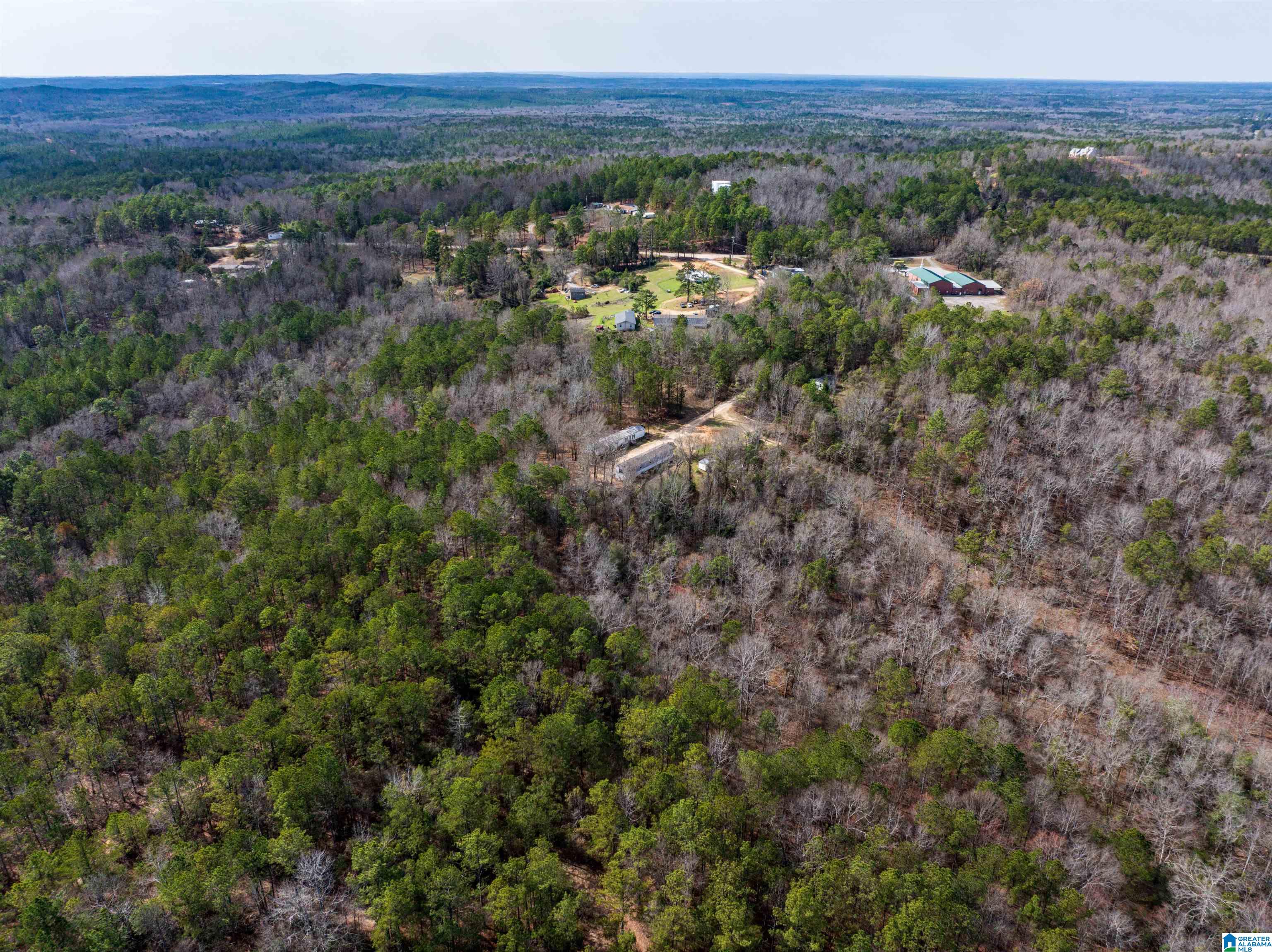 0 Flat Rock Road Tallassee, AL 36078 - Photo 5 of 13