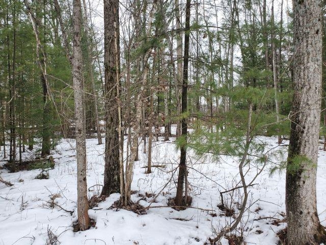 0 Rodnick Road Prescott, MI 48756 - Photo 3 of 8 1931232-1ef0eb35-f3d3-4599-b7ad-3c6a1ff78ab3.JPG