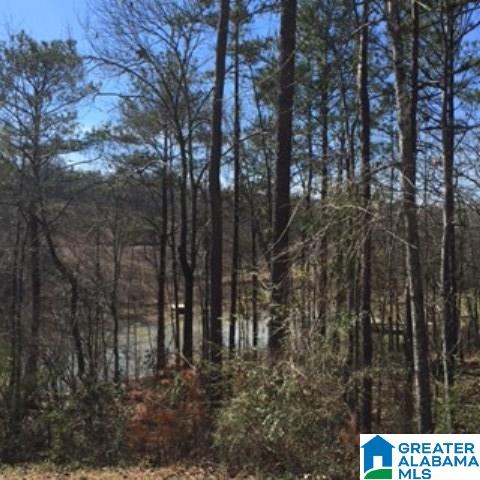 338 Davis Acres Drive, Unit 1 Alpine, AL 35014 - Photo 16 of 19