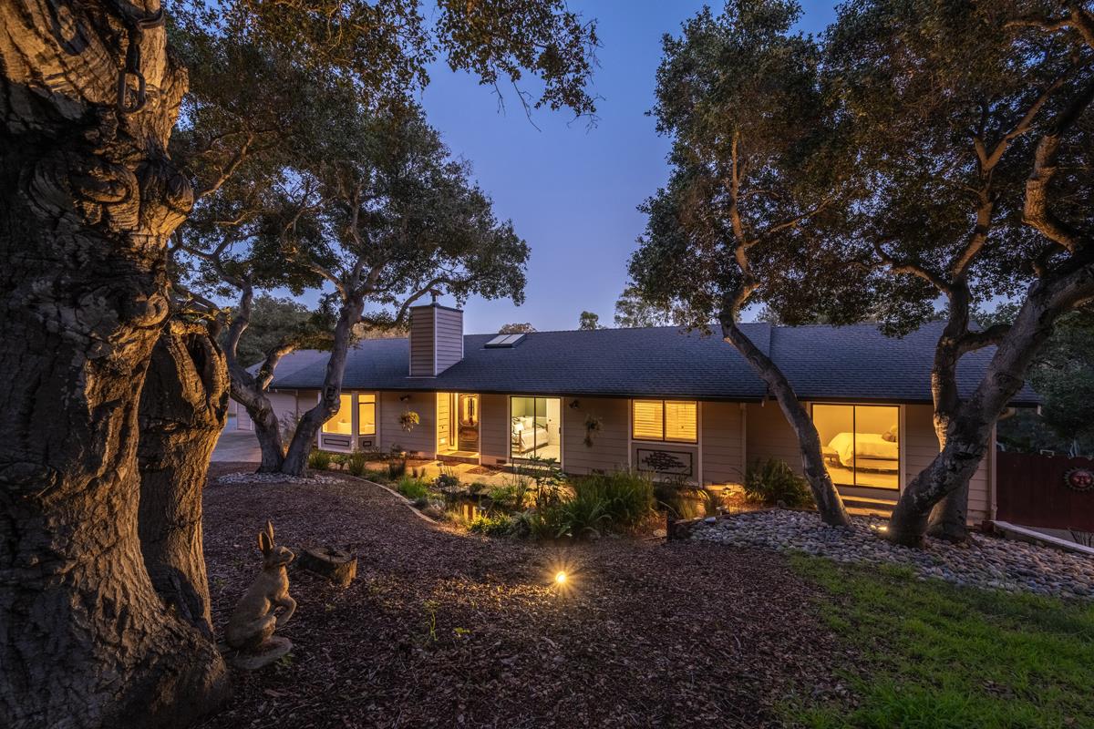 a view of an outdoor space yard and tree s