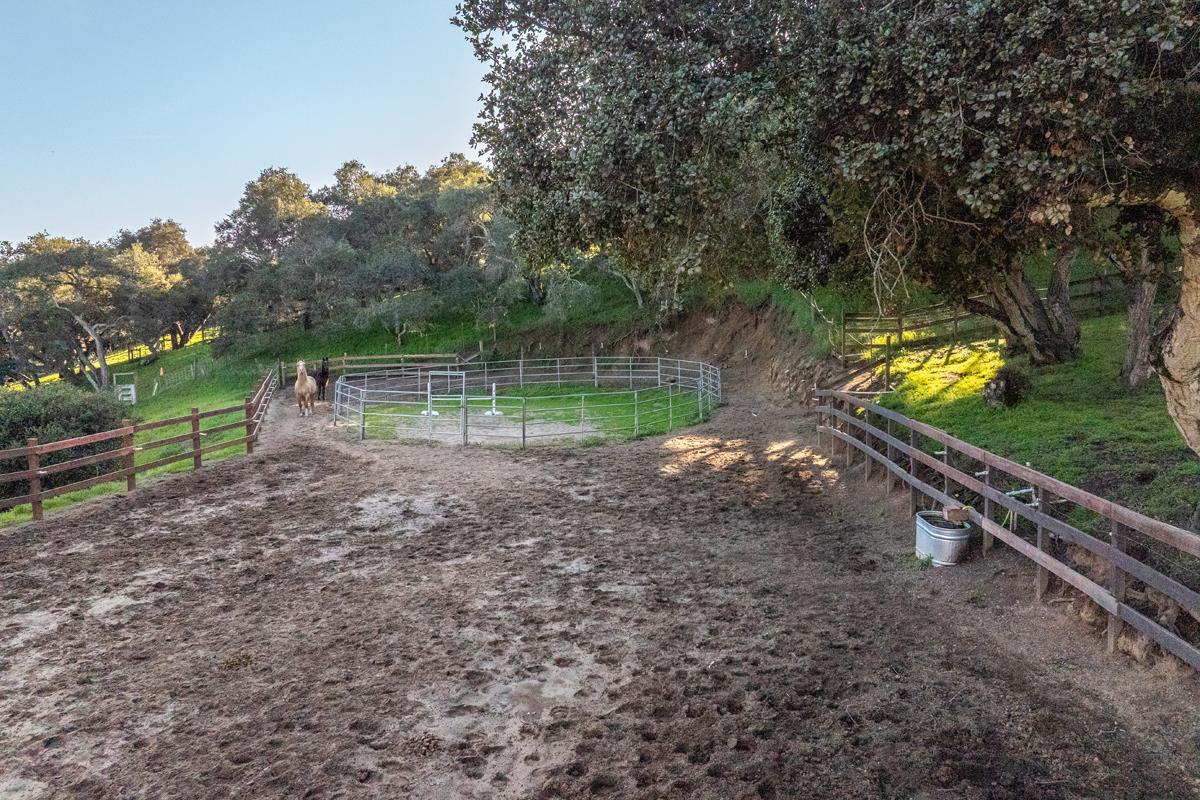 18795 Pesante Road Salinas, CA 93907 - Photo 17 of 20 a backyard of a house with lots of green space