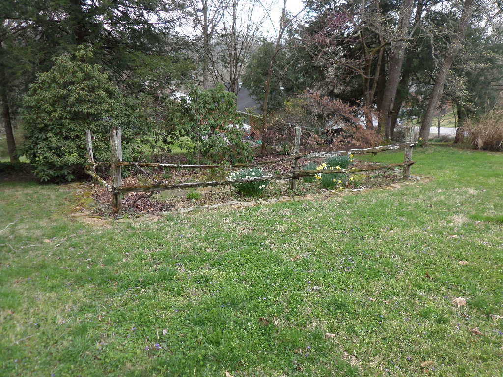515 Robertsville Road Oak Ridge, TN 37830 - Photo 30 of 31 Back Yard