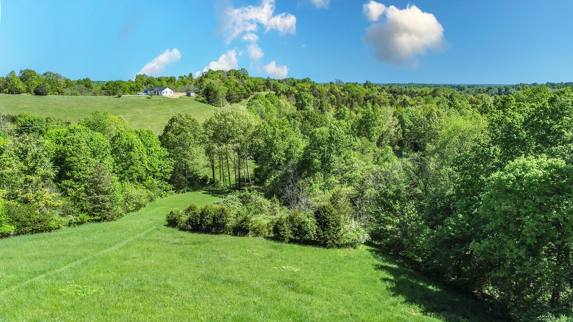 235 Richie Road Carlisle, KY 40311 - Photo 8 of 44 DJI_0049