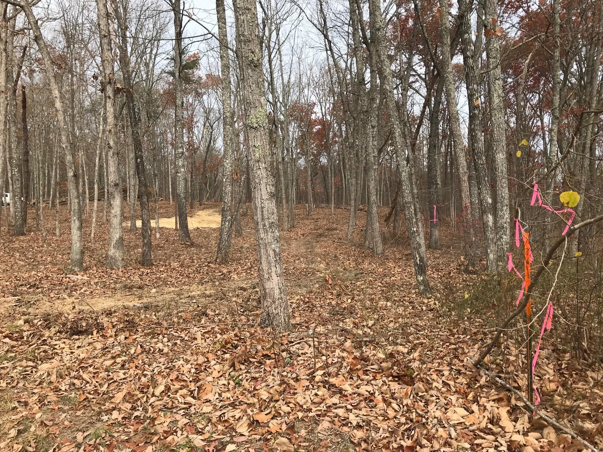 1 White Oak Swamp Road Dunlap, TN 37327 - Photo 10 of 16 Gallery Image 10