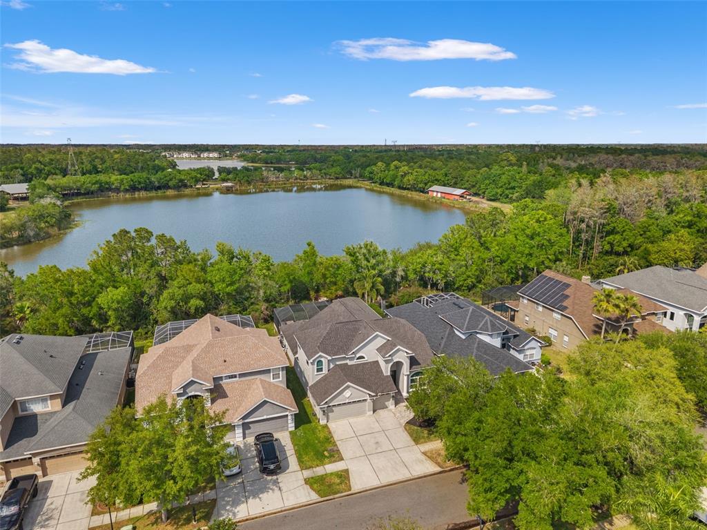 11627 Renaissance View Court Tampa, FL 33626 - Photo 2 of 62 an aerial view of residential houses with outdoor space and ocean view