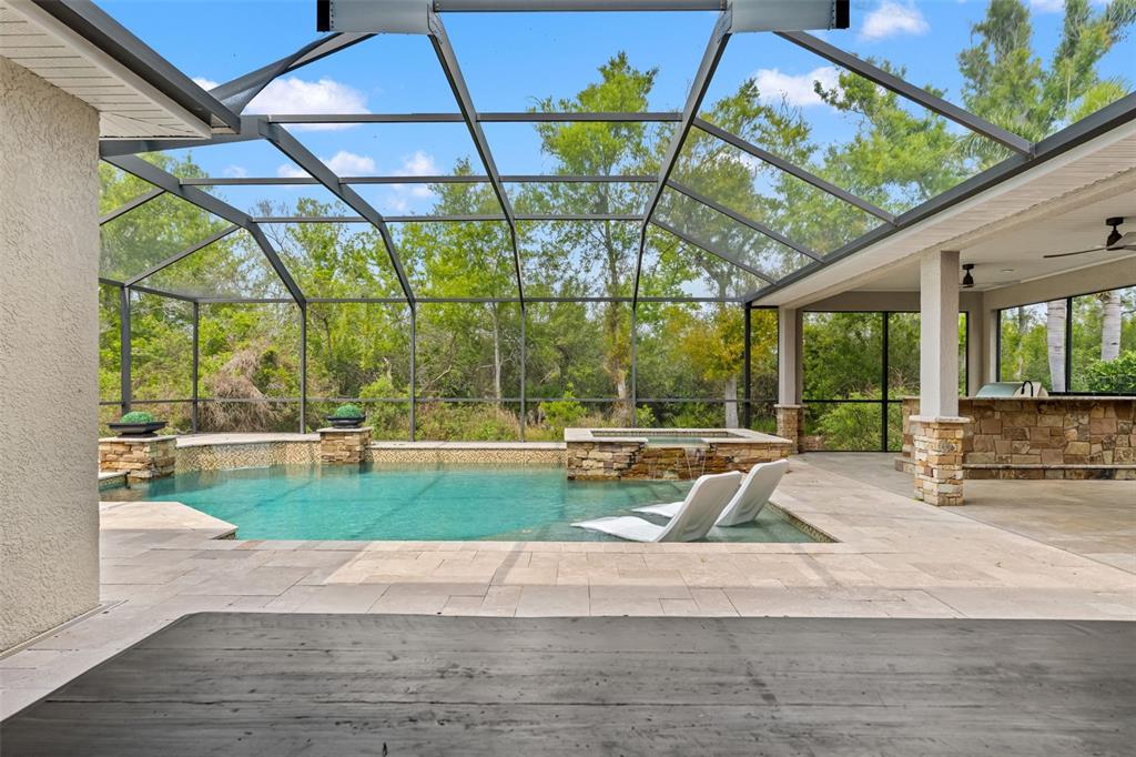 11627 Renaissance View Court Tampa, FL 33626 - Photo 28 of 62