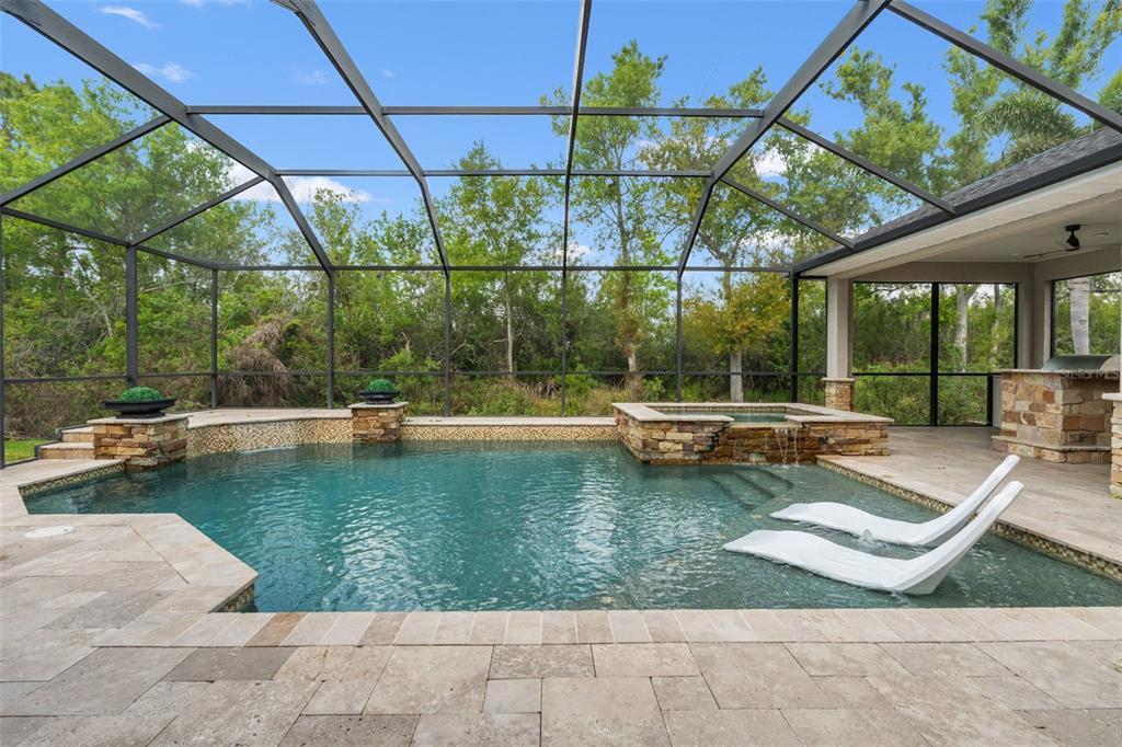 11627 Renaissance View Court Tampa, FL 33626 - Photo 3 of 62 a view of a swimming pool with a patio