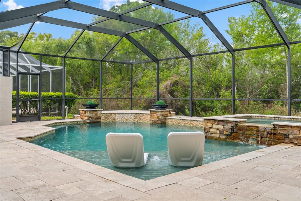 11627 Renaissance View Court Tampa, FL 33626 - Photo 61 of 62 a view of a swimming pool with couches in patio