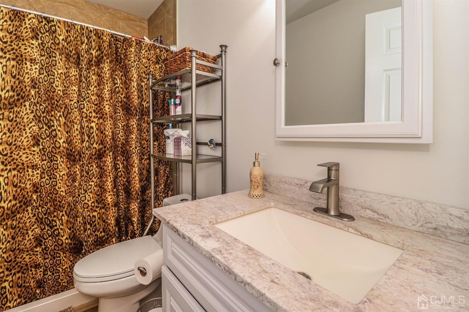 10 Matson Road Edison, NJ 08817 - Photo 33 of 40 a bathroom with a granite countertop sink toilet and shower