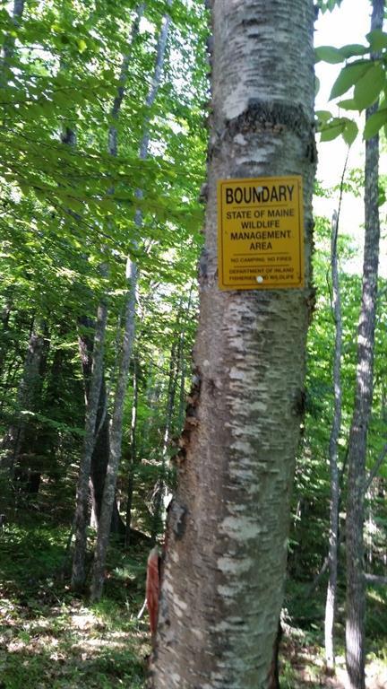 M24-l9 Morrill Road Morrill, ME 04952 - Photo 2 of 23 This property borders the Frye...