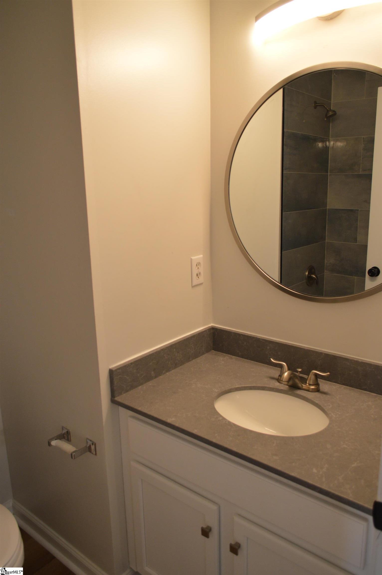 230 Spring Crossing Circle Greer, SC 29650 - Photo 18 of 19