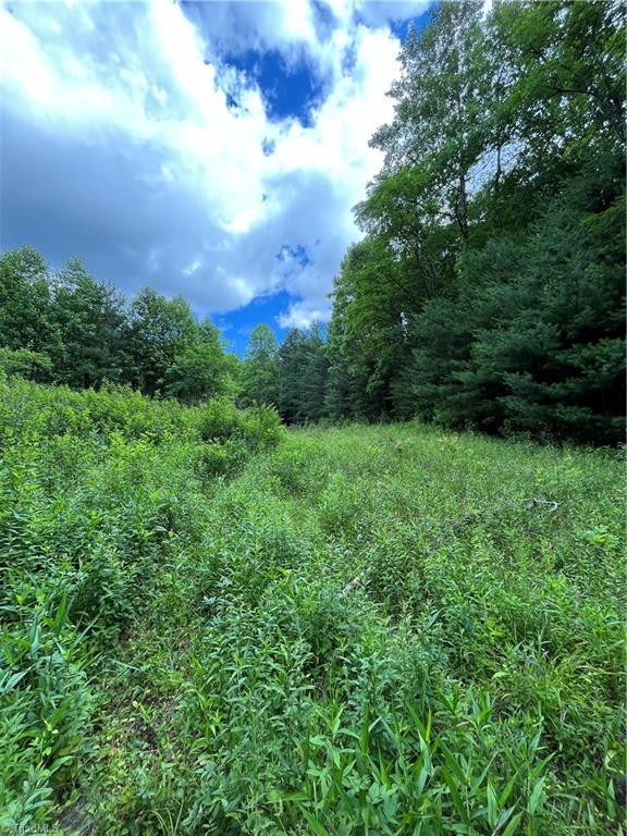 Tbd Vannoy Road McGrady, NC 28649 - Photo 16 of 32 Open meadow