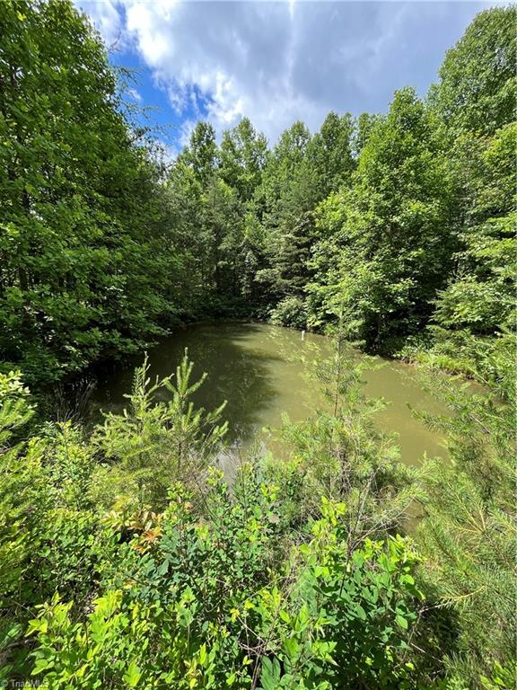 Tbd Vannoy Road McGrady, NC 28649 - Photo 17 of 32 Pond