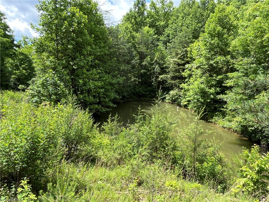 Tbd Vannoy Road McGrady, NC 28649 - Photo 18 of 32 Pond