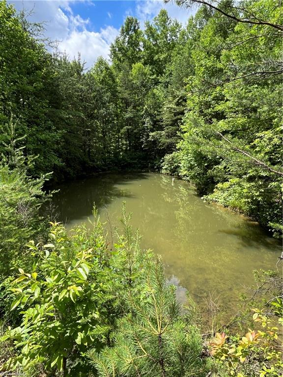 Tbd Vannoy Road McGrady, NC 28649 - Photo 19 of 32 Pond