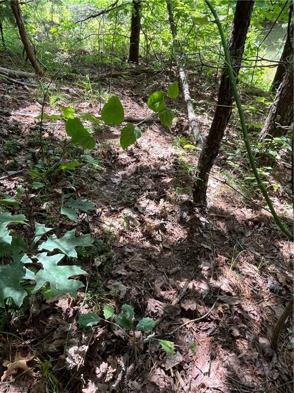 Tbd Vannoy Road McGrady, NC 28649 - Photo 20 of 32 Black Bear Trail. Used Daily