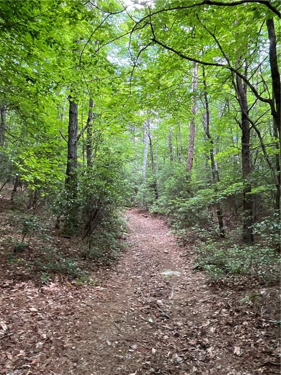 Tbd Vannoy Road McGrady, NC 28649 - Photo 2 of 32 ATV Trails