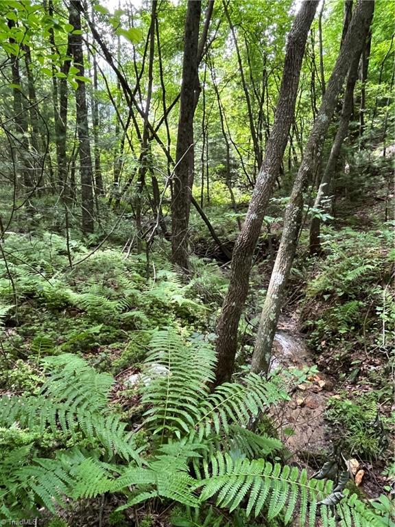 Tbd Vannoy Road McGrady, NC 28649 - Photo 21 of 32 Creek