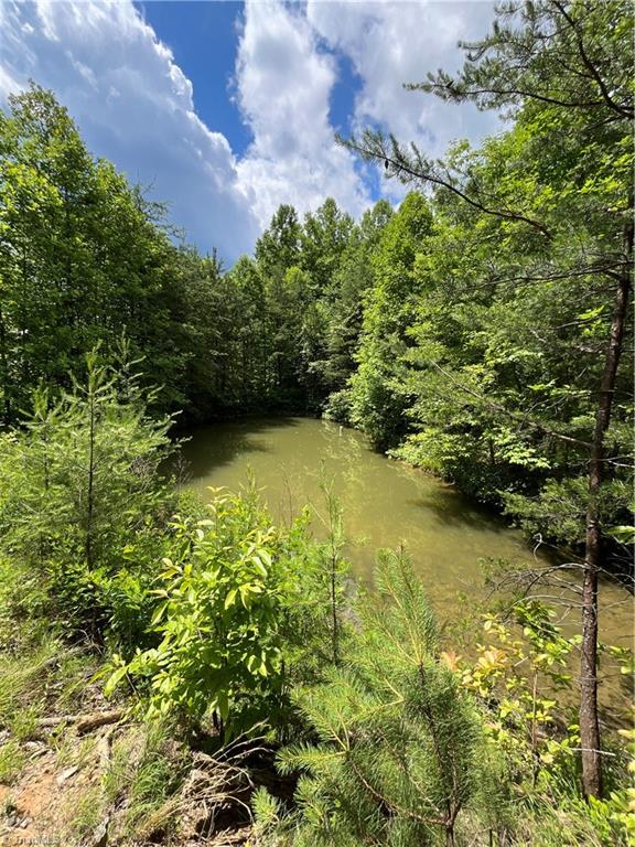 Tbd Vannoy Road McGrady, NC 28649 - Photo 28 of 32 Pond