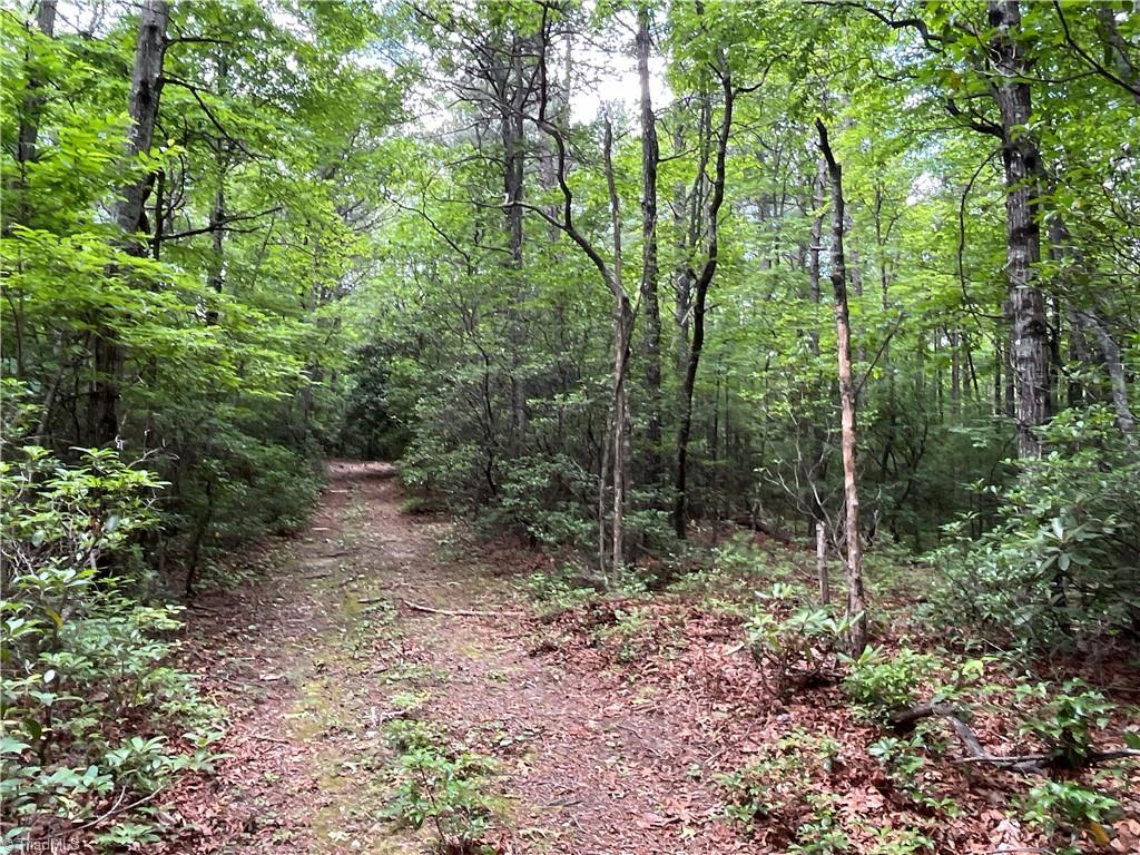 Tbd Vannoy Road McGrady, NC 28649 - Photo 29 of 32 Interior trail system
