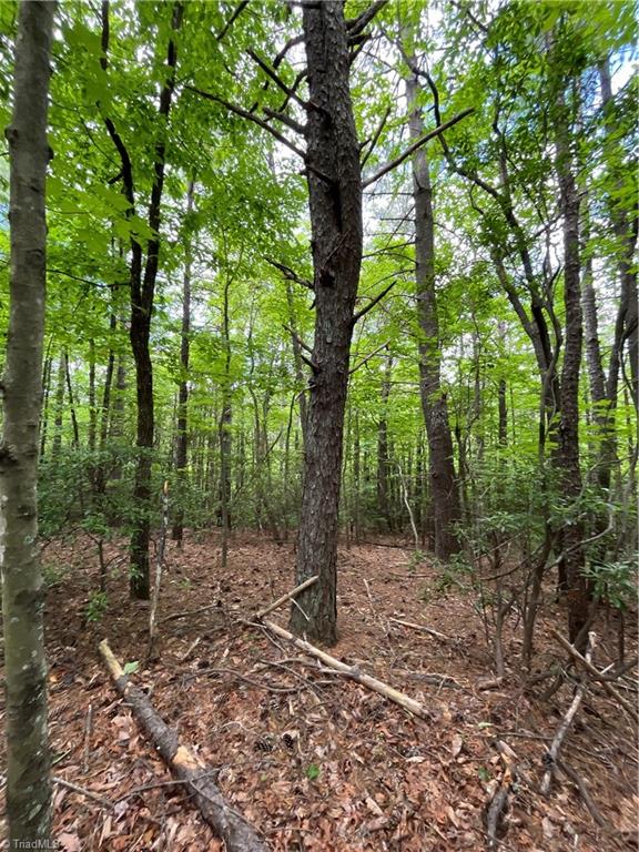 Tbd Vannoy Road McGrady, NC 28649 - Photo 31 of 32 Gentle Topography
