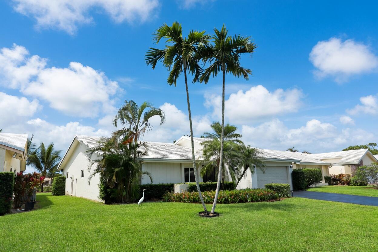 5667 North Cameo Drive Boca Raton, FL 33433 - Photo 3 of 20 a palm tree sitting in front of a house with a big yard