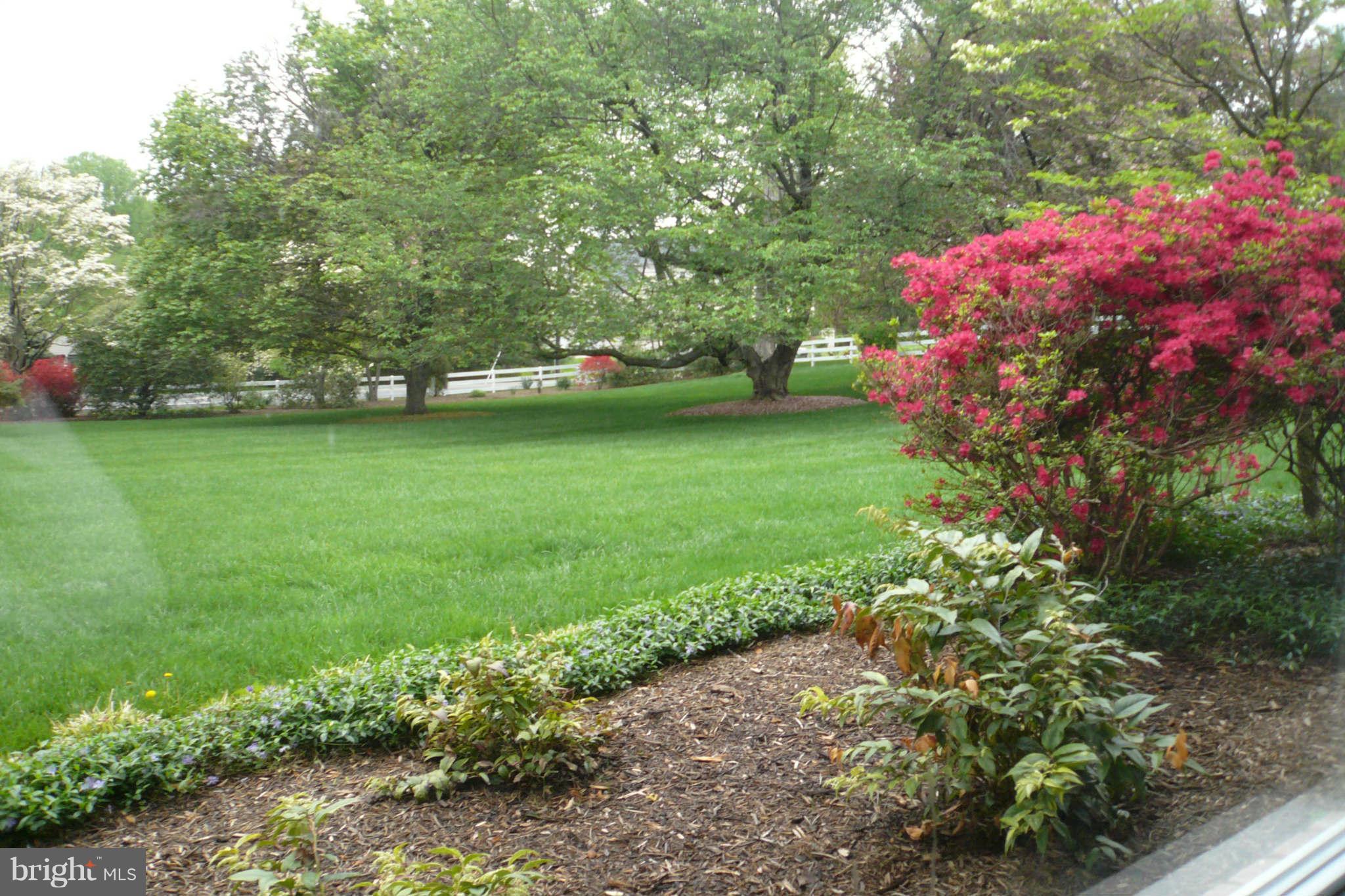 1542 Crowell Road Vienna, VA 22182 - Photo 13 of 55 Exterior (Back Yard General)