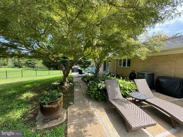 a view of a garden with plants and large trees