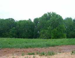 Chimney Hill Road Crestwood, KY 40014 - Photo 1 of 1 Primary Photo