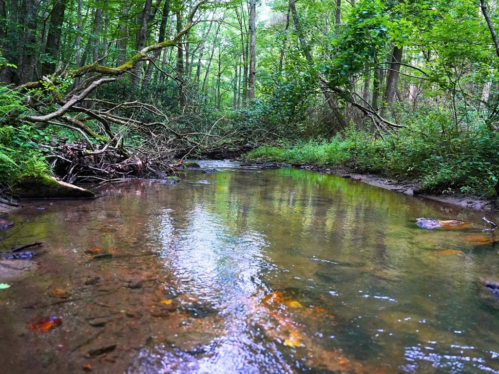 Tbd Bent Road Meadows Of Dan, VA 24120 - Photo 4 of 53 Gallery Image 4