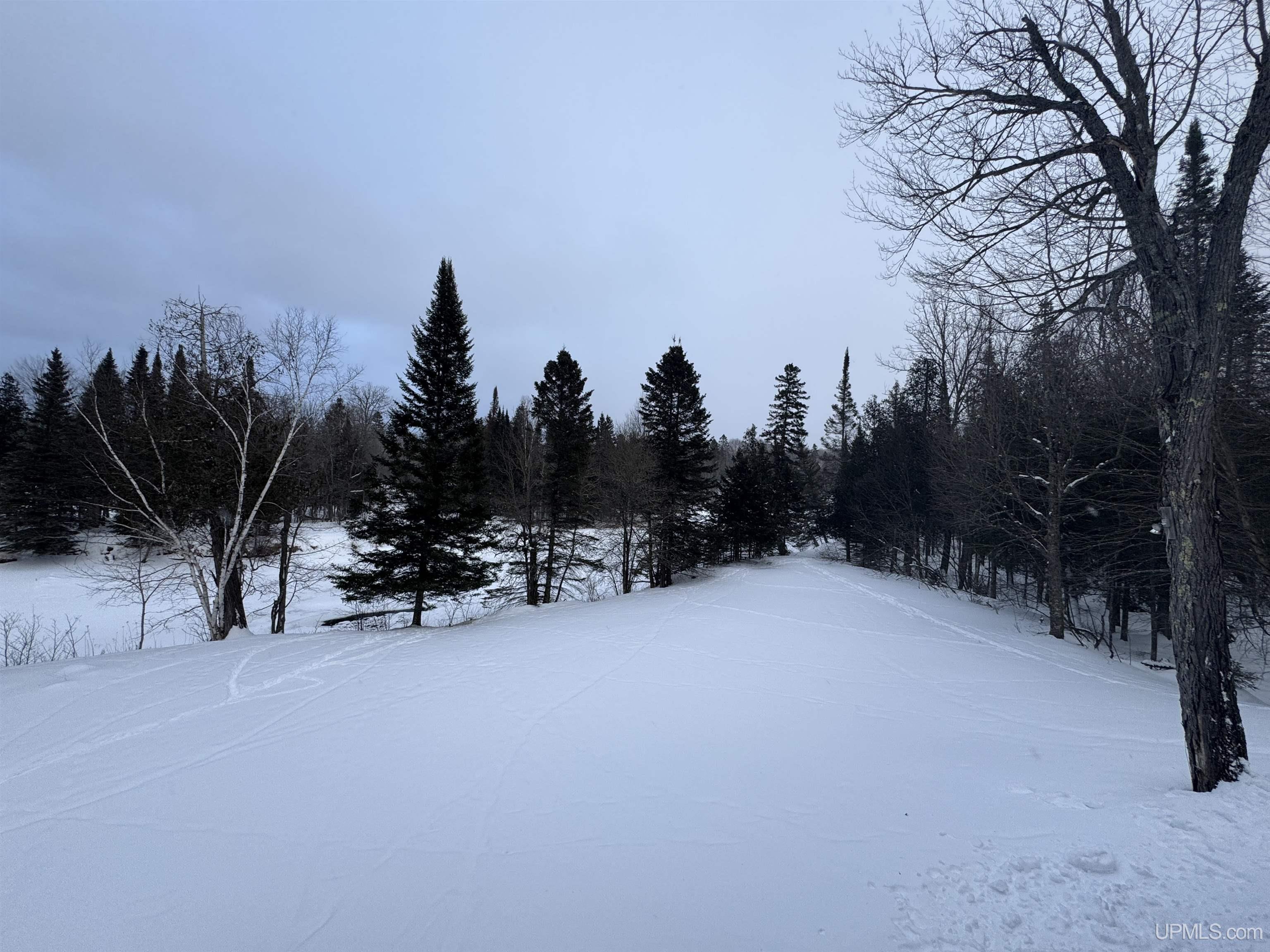 N13545 Newberg Road Channing, MI 49815 - Photo 43 of 43