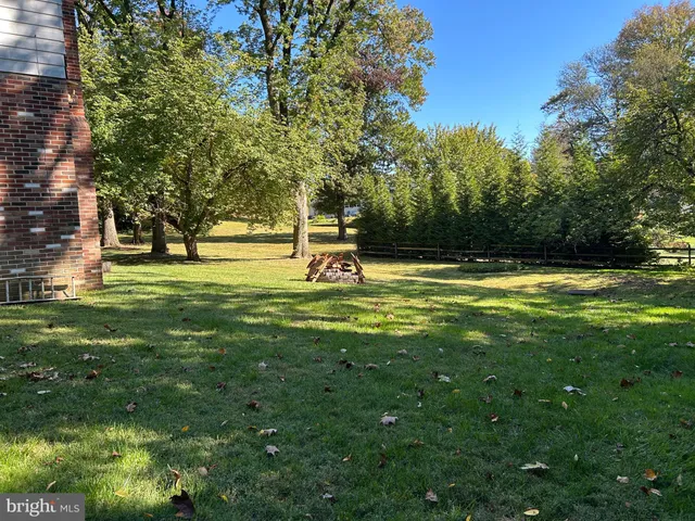 a view of a park with large trees