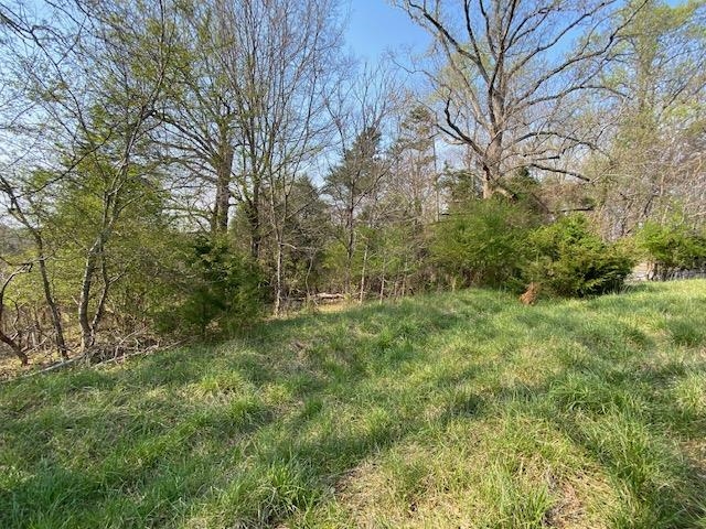 6544 Reidville Road Moore, SC 29369 - Photo 30 of 33 Gallery Image 30