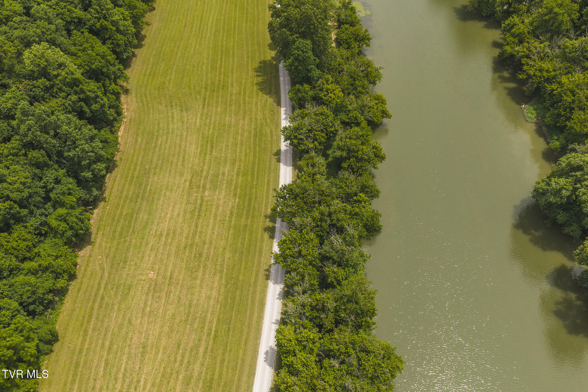 150-ac Big Springs Road Eidson, TN 37731 - Photo 6 of 24 DJI_20260616125911_0215_D
