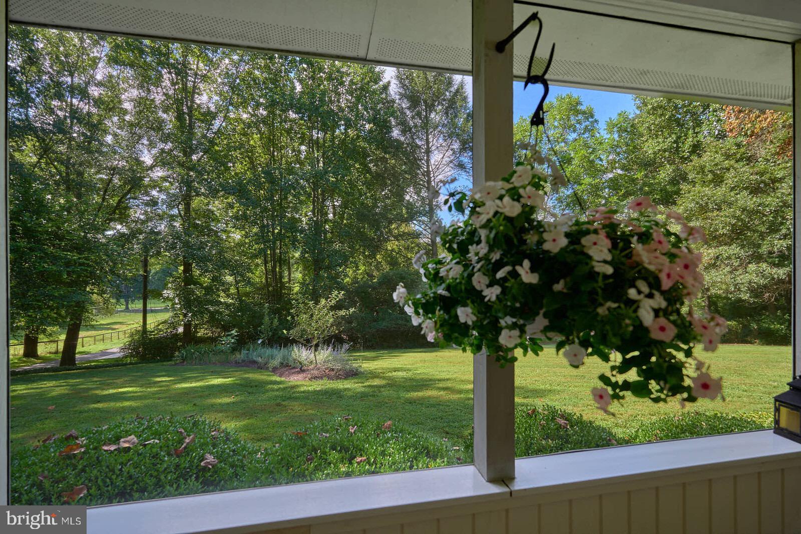 31 Haviland Mill Road Brinklow, MD 20862 - Photo 20 of 36 a view of a tree in front of a yard with potted plants
