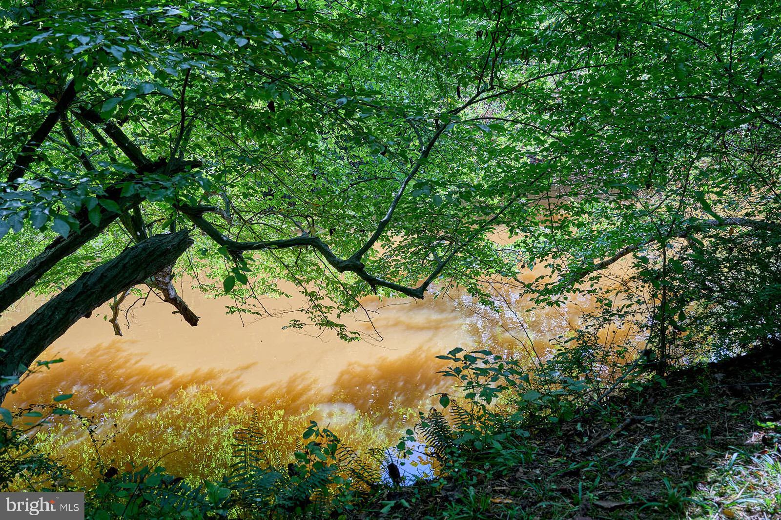 31 Haviland Mill Road Brinklow, MD 20862 - Photo 23 of 36 a view of a tree in a yard