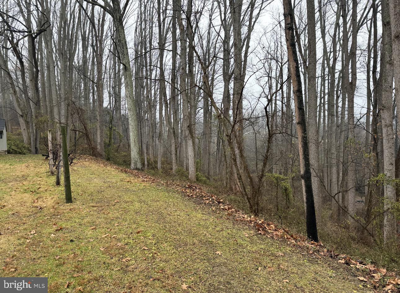 31 Haviland Mill Road Brinklow, MD 20862 - Photo 37 of 114