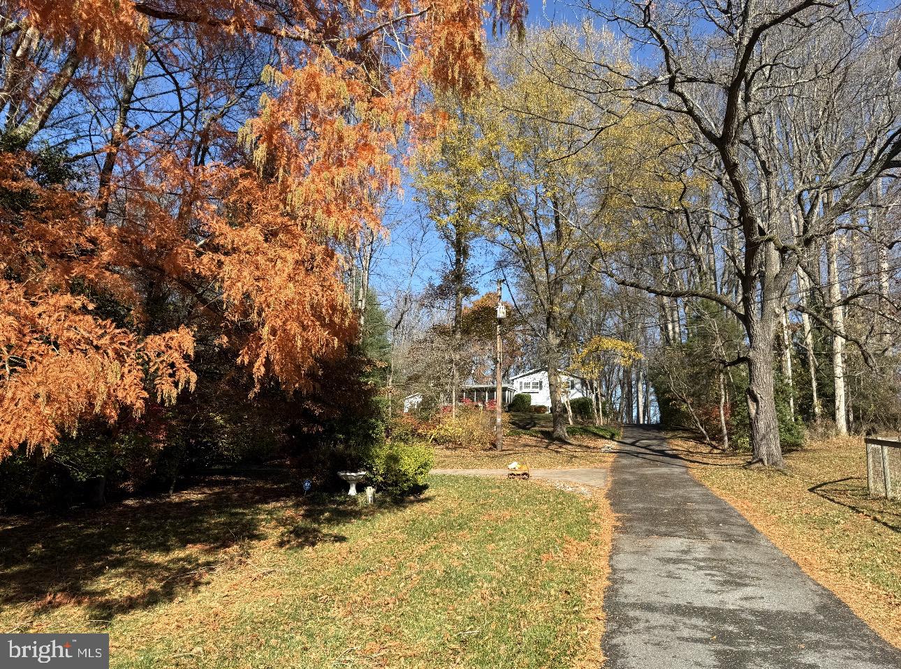 31 Haviland Mill Road Brinklow, MD 20862 - Photo 39 of 114