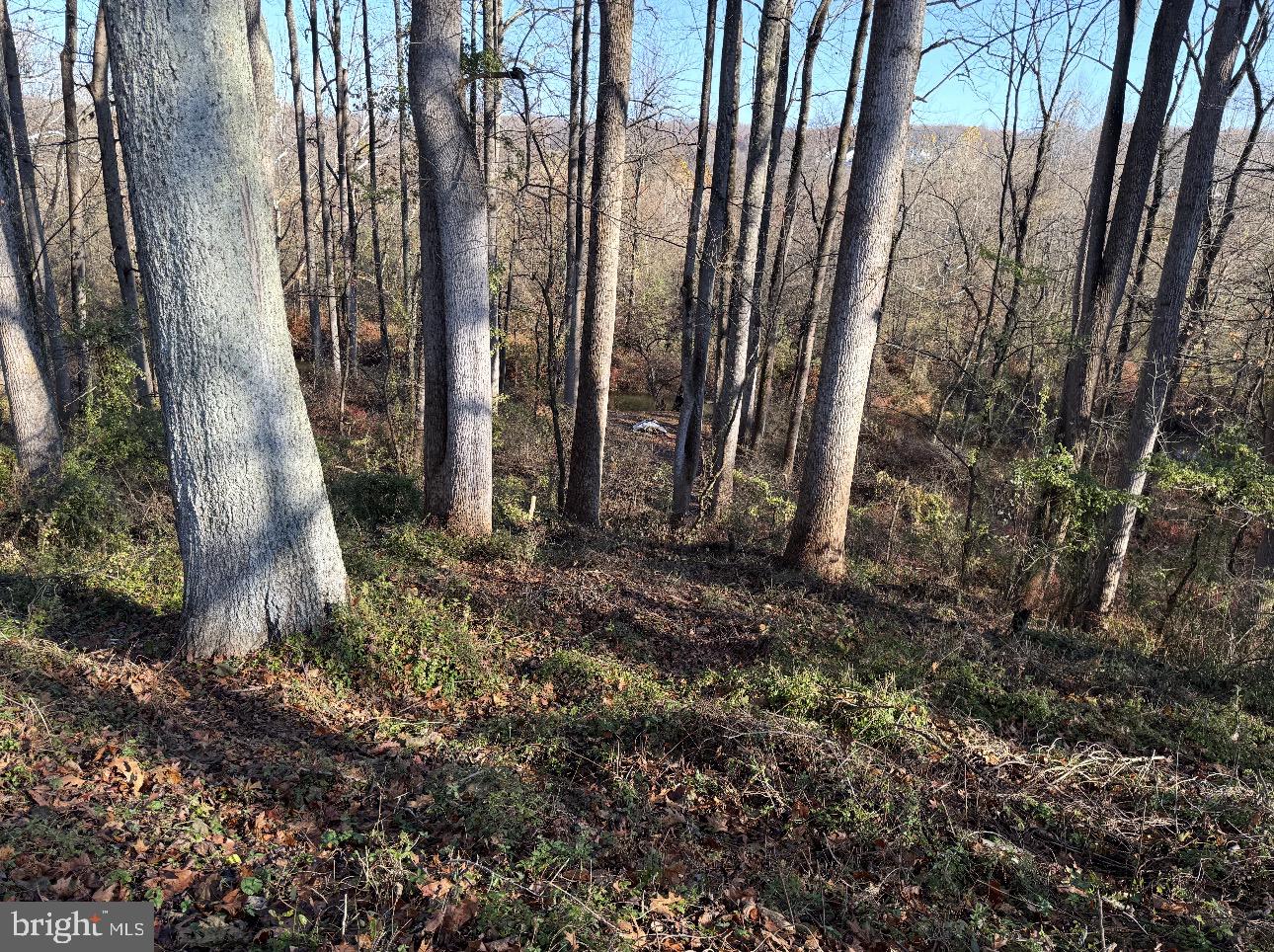 31 Haviland Mill Road Brinklow, MD 20862 - Photo 40 of 114