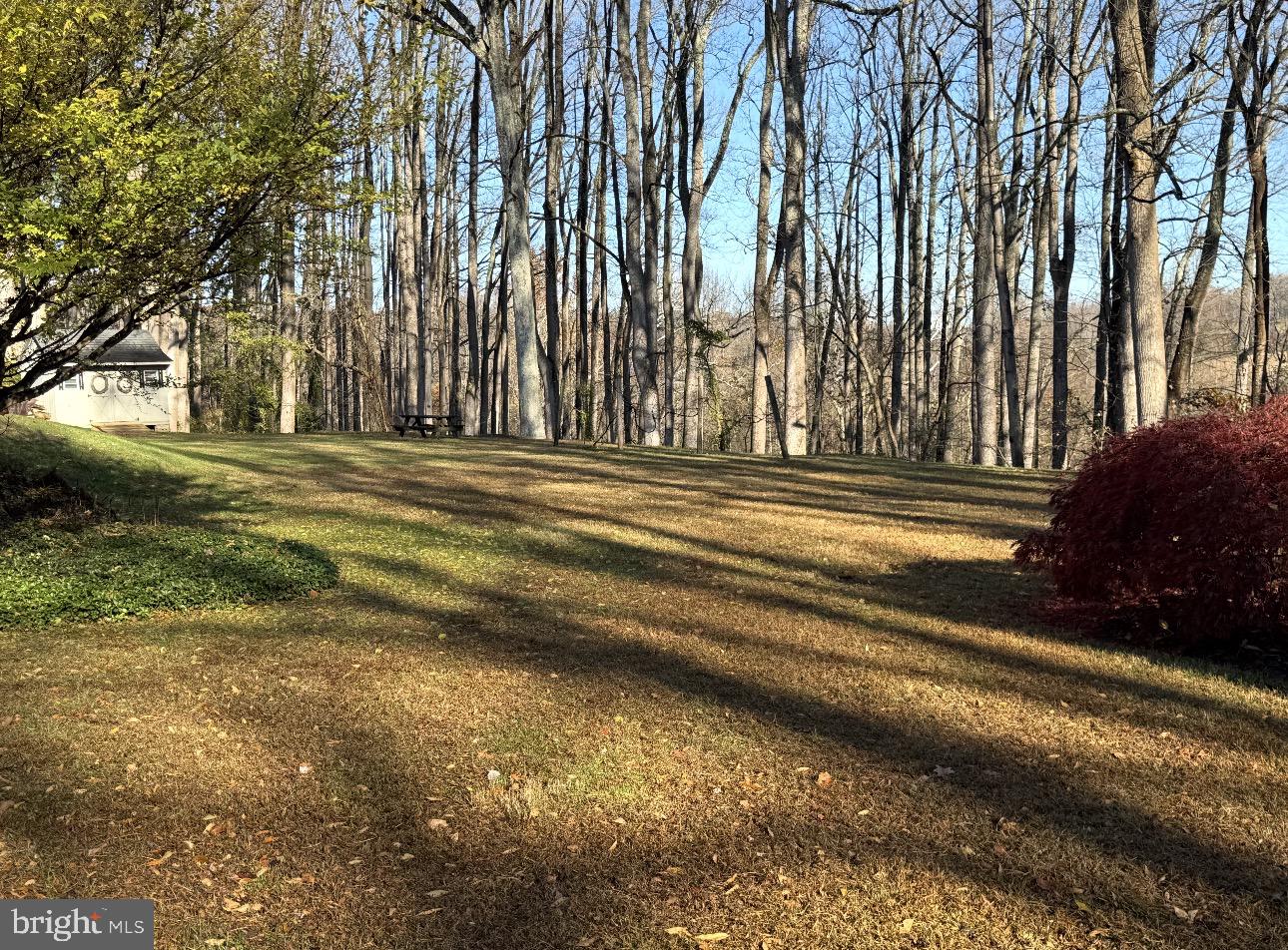 31 Haviland Mill Road Brinklow, MD 20862 - Photo 42 of 114