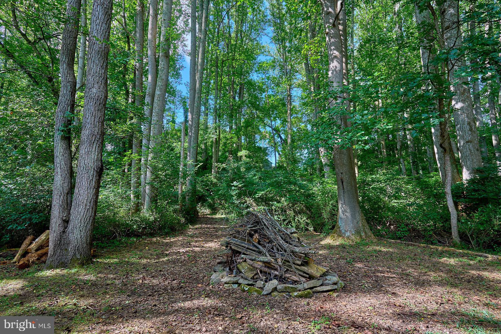 31 Haviland Mill Road Brinklow, MD 20862 - Photo 6 of 36 a view of backyard with green space