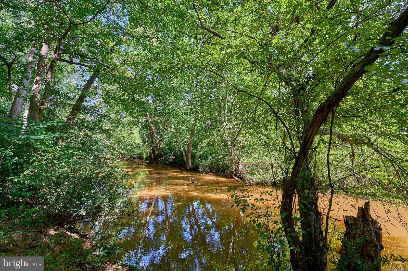 31 Haviland Mill Road Brinklow, MD 20862 - Photo 10 of 36 a view of a yard with plants and trees