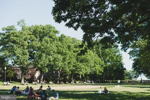 a view of a park with large trees