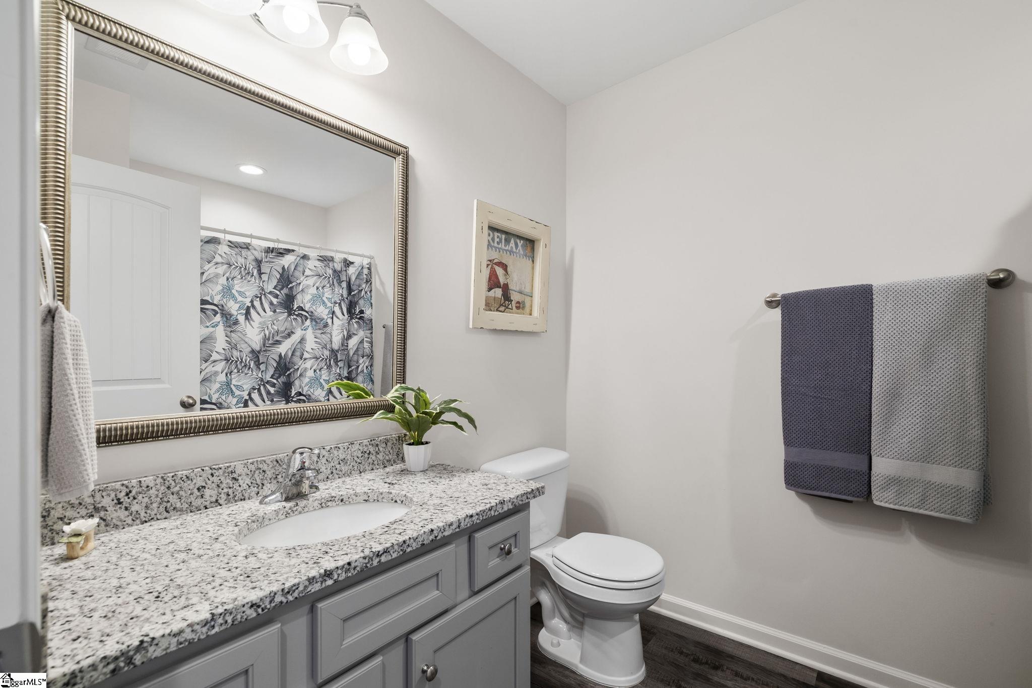 228 Icebow Road Fountain Inn, SC 29644 - Photo 23 of 30