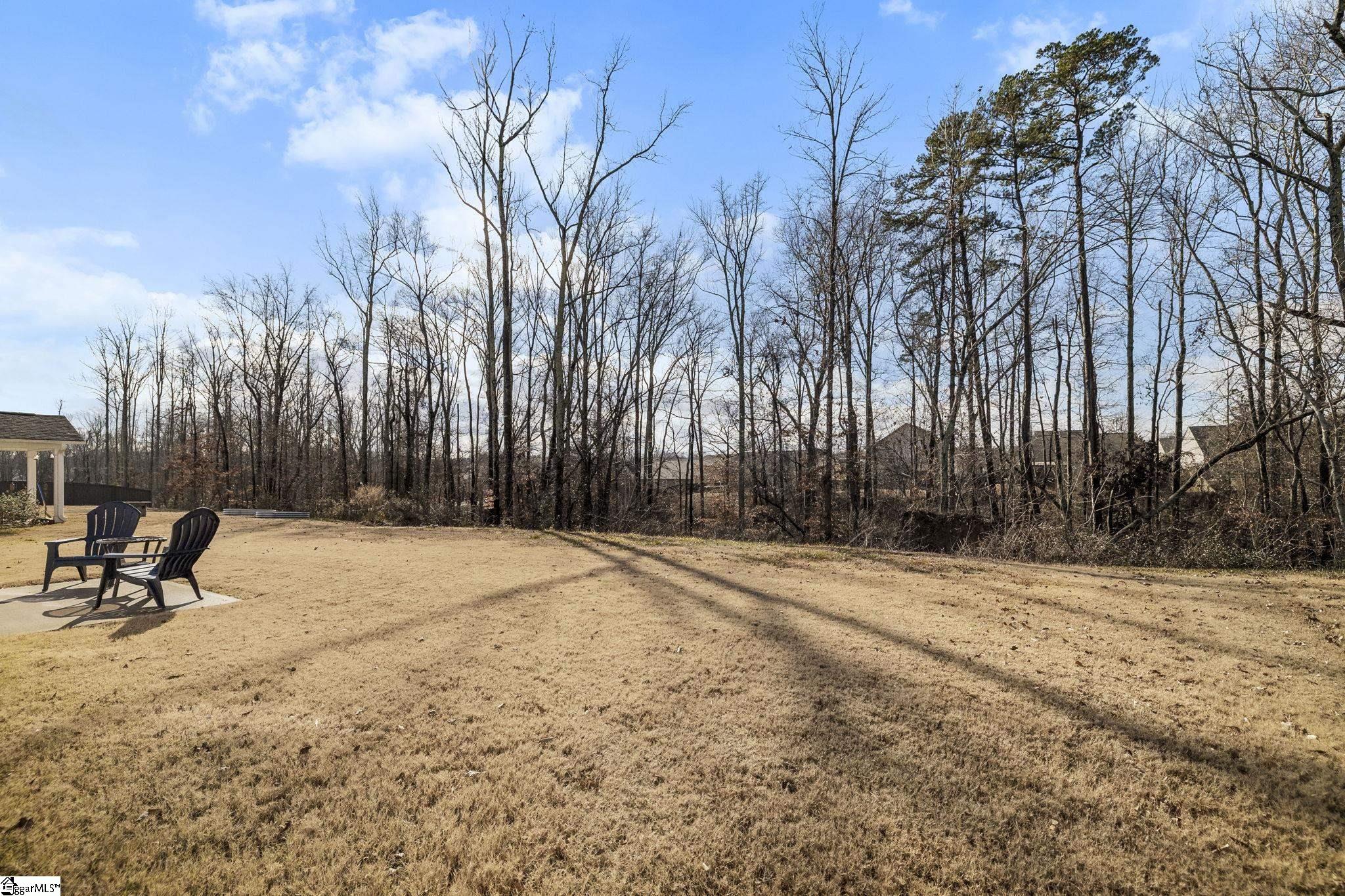 228 Icebow Road Fountain Inn, SC 29644 - Photo 30 of 30