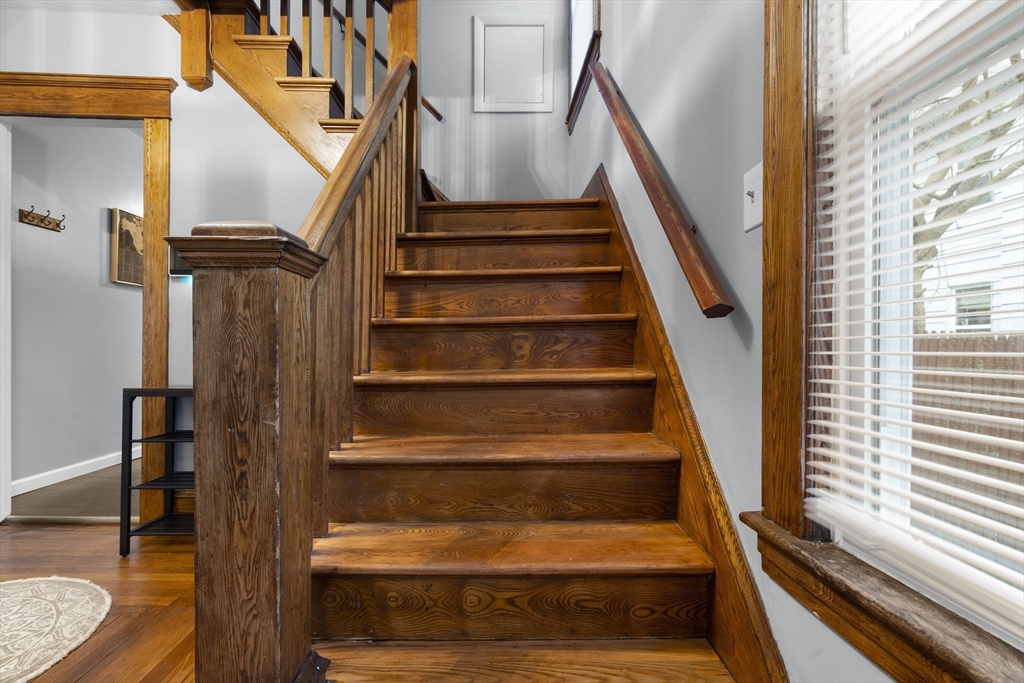54 Ionia Street Springfield, MA 01109 - Photo 23 of 42 Gallery Image 23